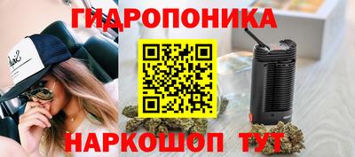 spice Волжск