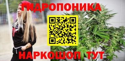 spice Волжск