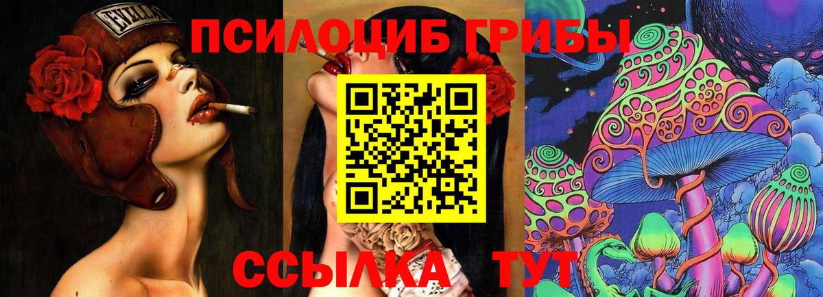 Псилоцибиновые грибы MAGIC MUSHROOMS  Вход с VPN  Каменск-Шахтинский 